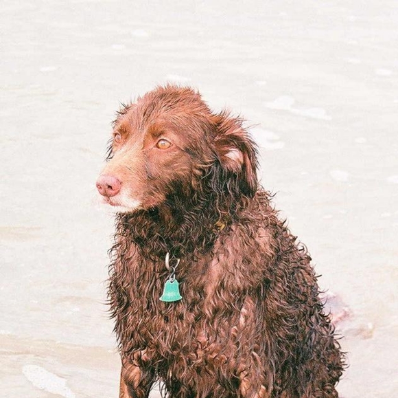 Meet your Posher, Myra - Picture 1 of 3